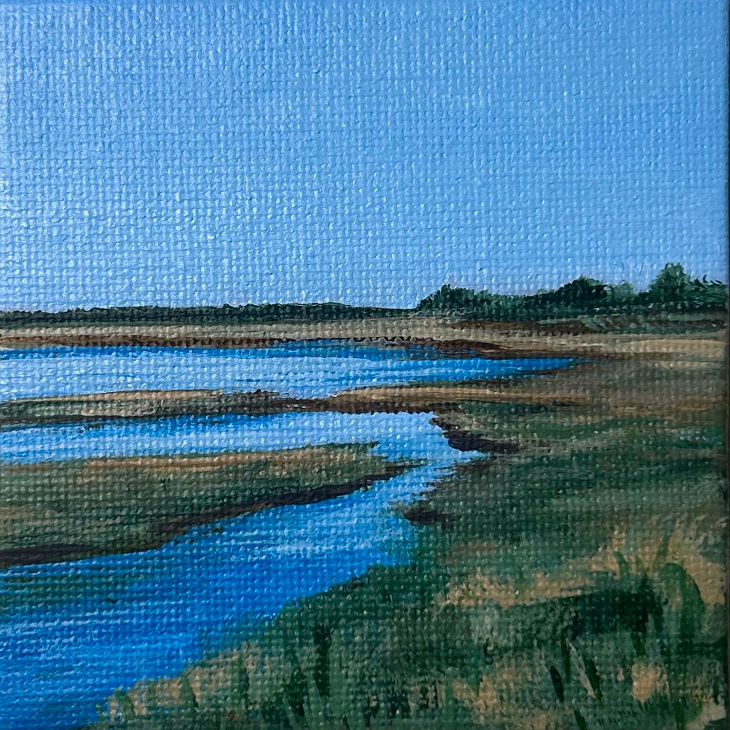 Conrad&#39;s Beach Salt Marsh 