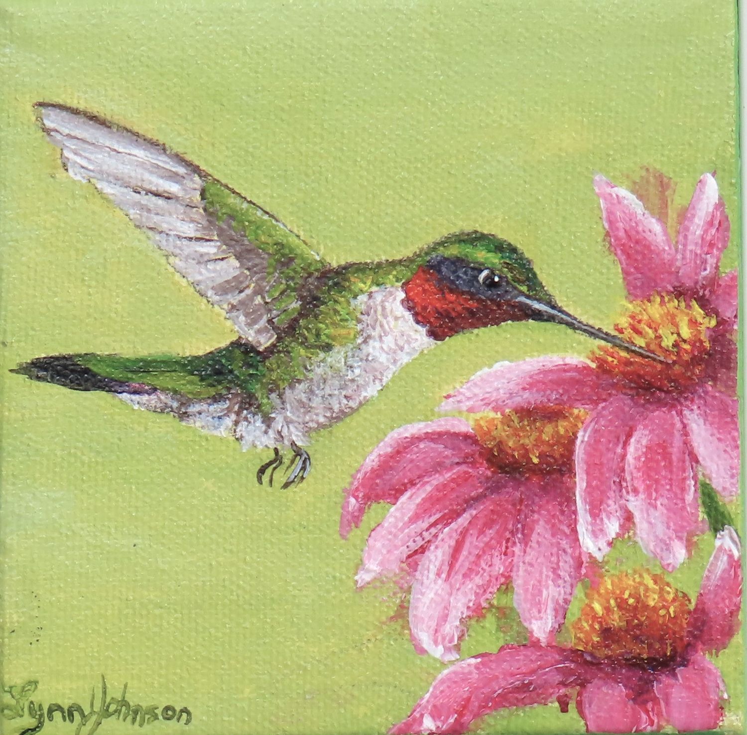 In Flight Meal In Flight Meal