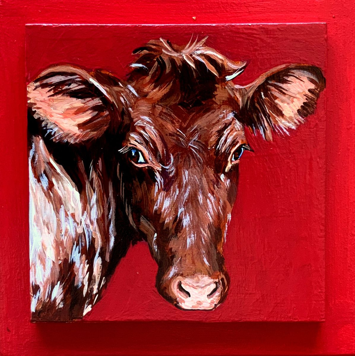 Jesse the Calf on Red - Susan Sweet