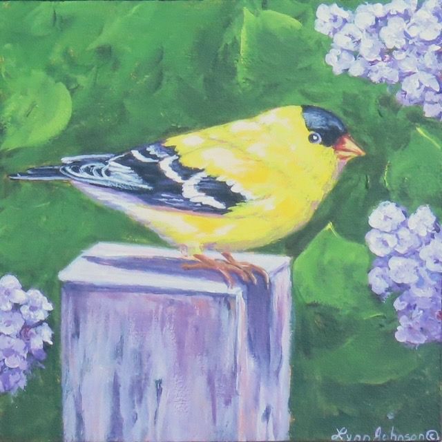 In His Glory (Goldfinch) - Lynn Johnson