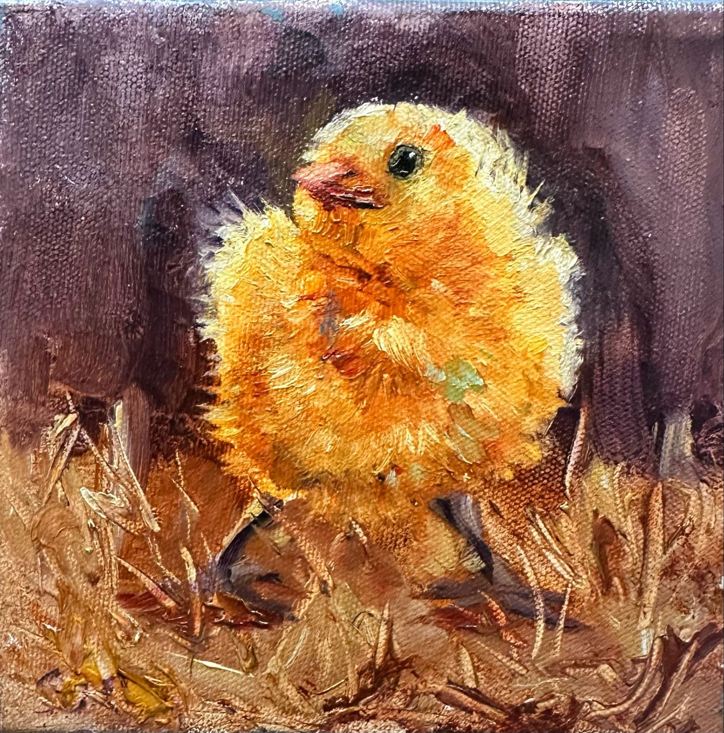 Chicka Chicka Boom Boom 
