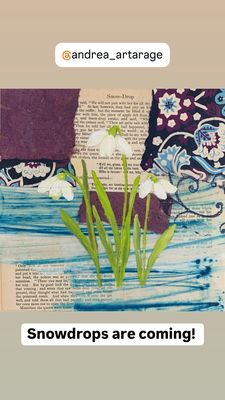 Snow Drop 3 