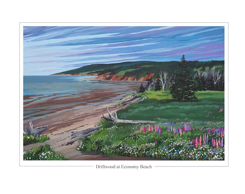 Driftwood at Economy Beach Print - Andrew Meredith (8x10)