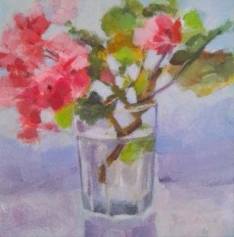 Rooting for Geraniums