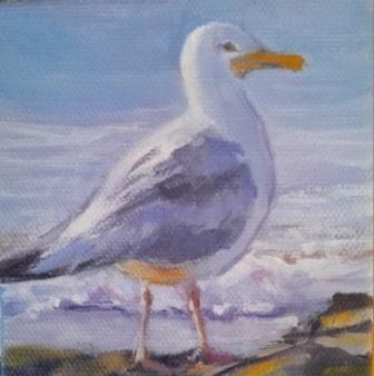 On the Rocks, Seagull On the Rocks, Seagull