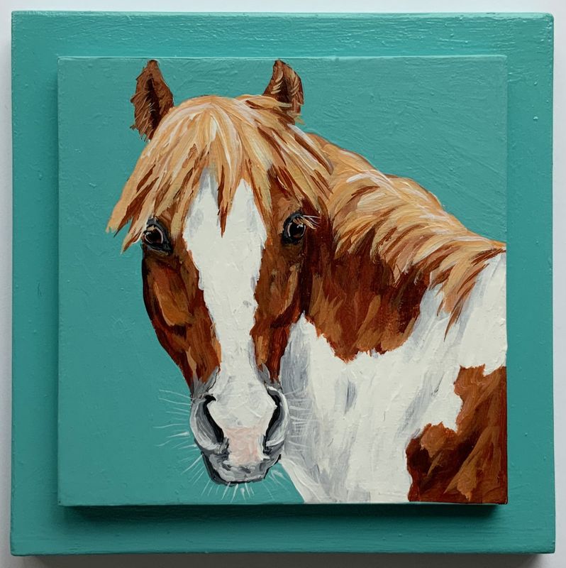 Lucian the Pony on Teal