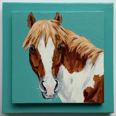 Lucian the Pony on Teal