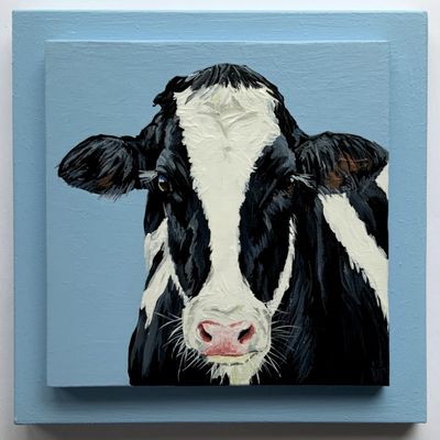 Marina the Holstein on Light Blue