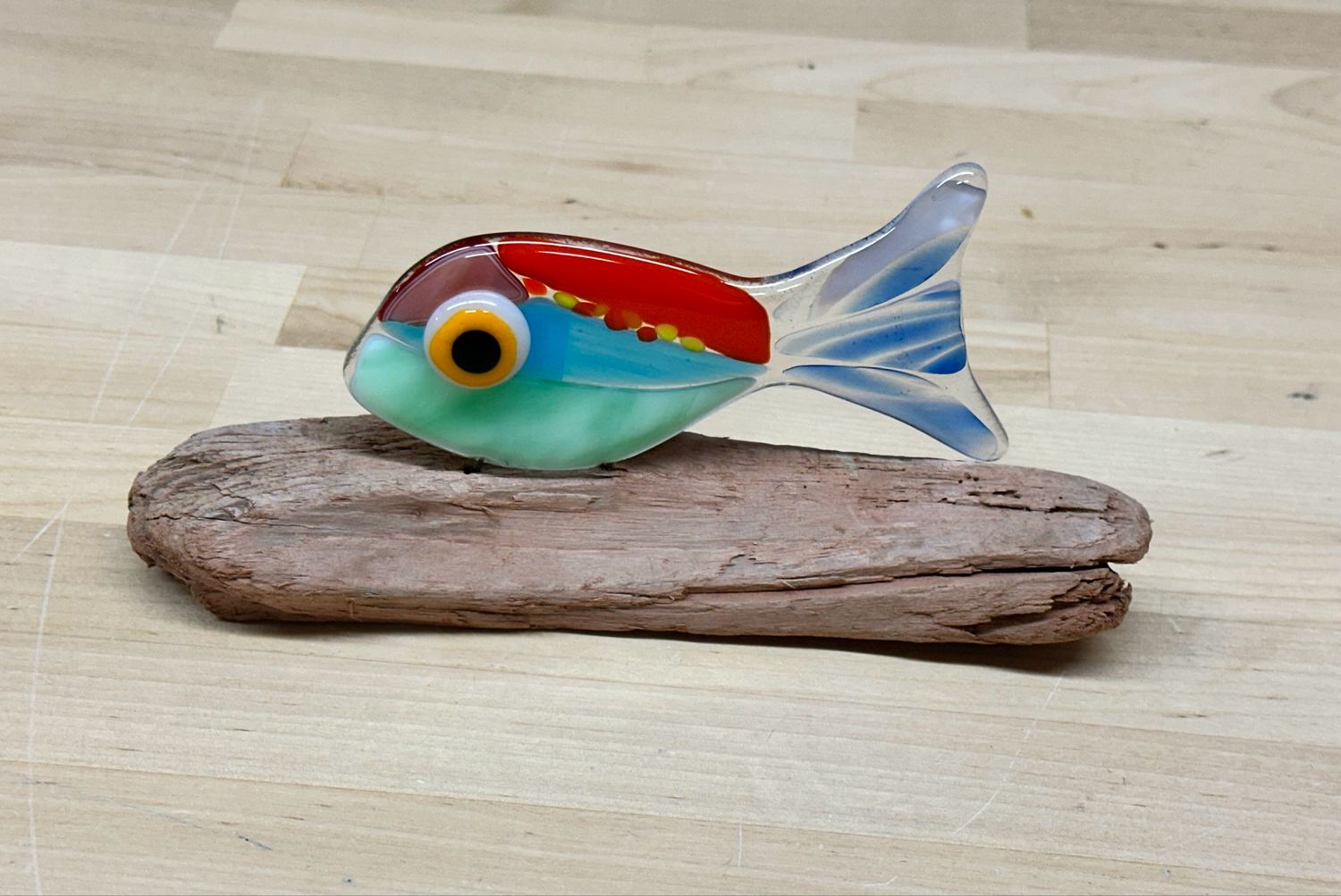 Funky Colourful Fish - Moxy 