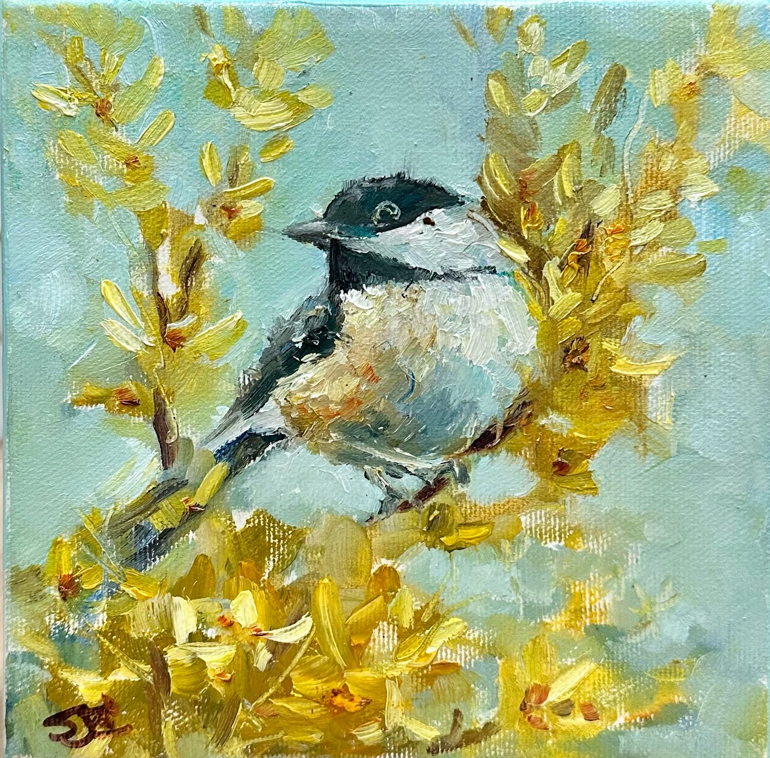 Sitting in Spring Sitting in Spring