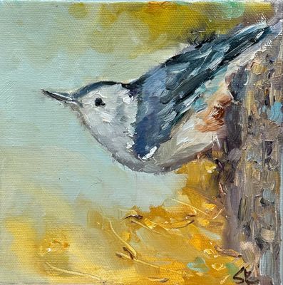 What&#39;s Up, Nuthatch