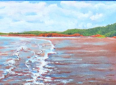 Blomidon Beach