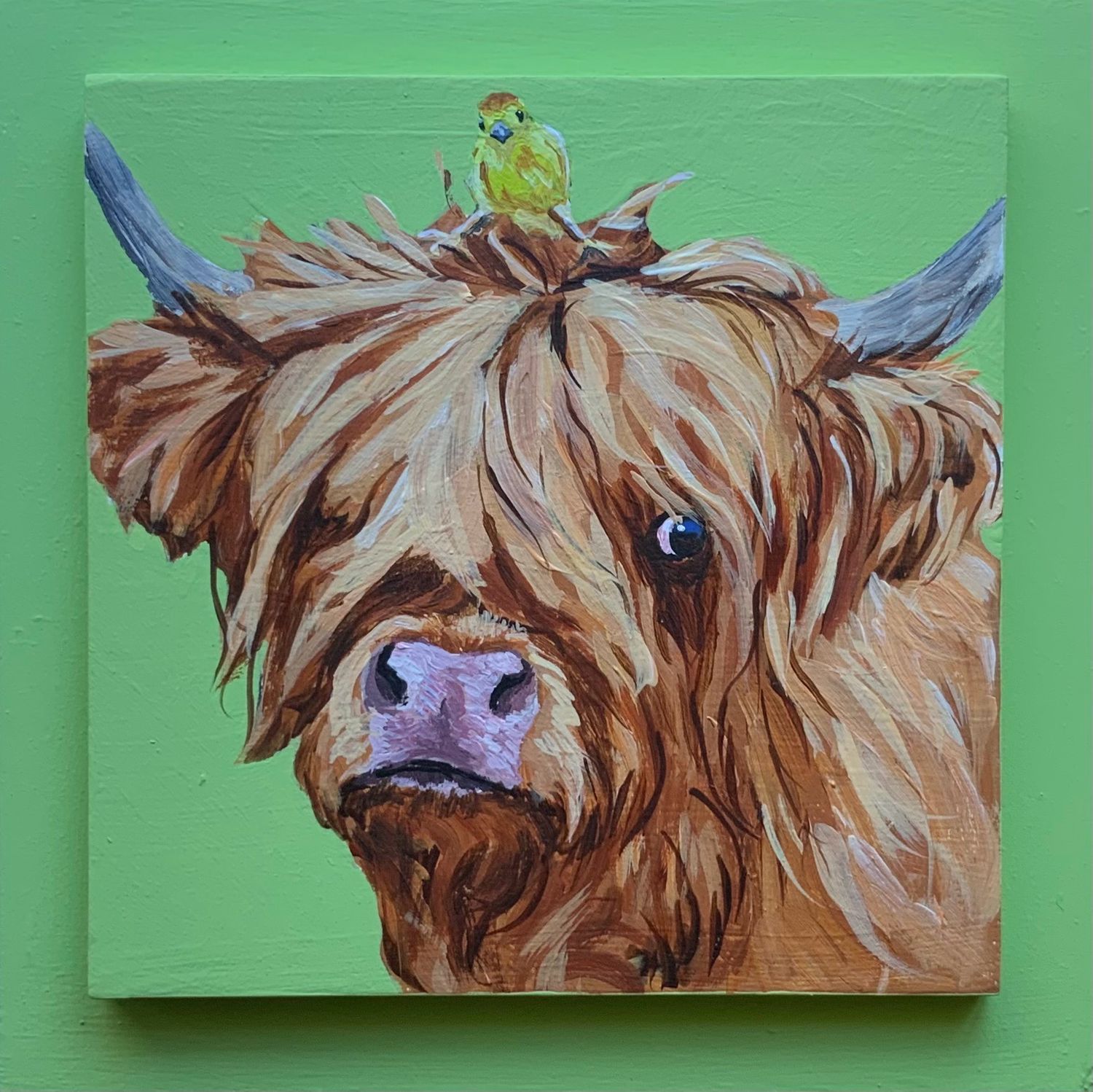 Davis on Light Green 