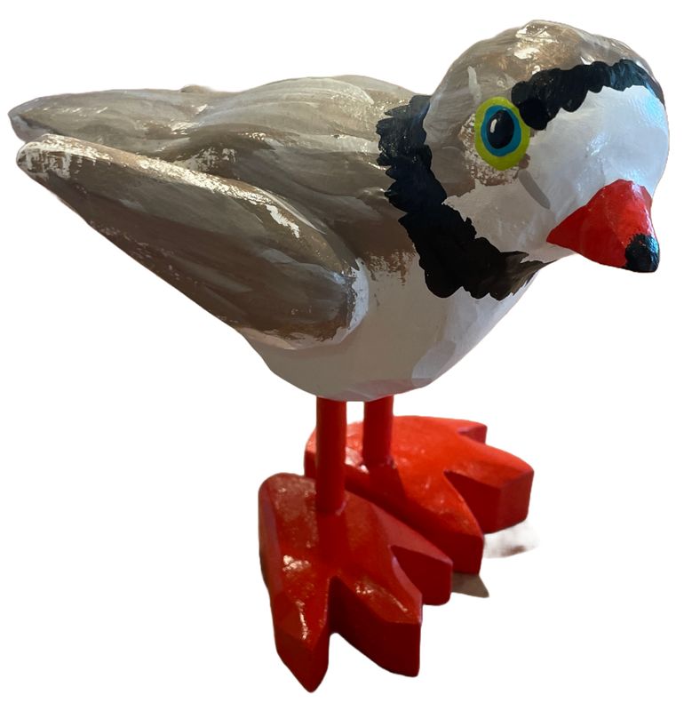 Piping Plover Timberdoodle 