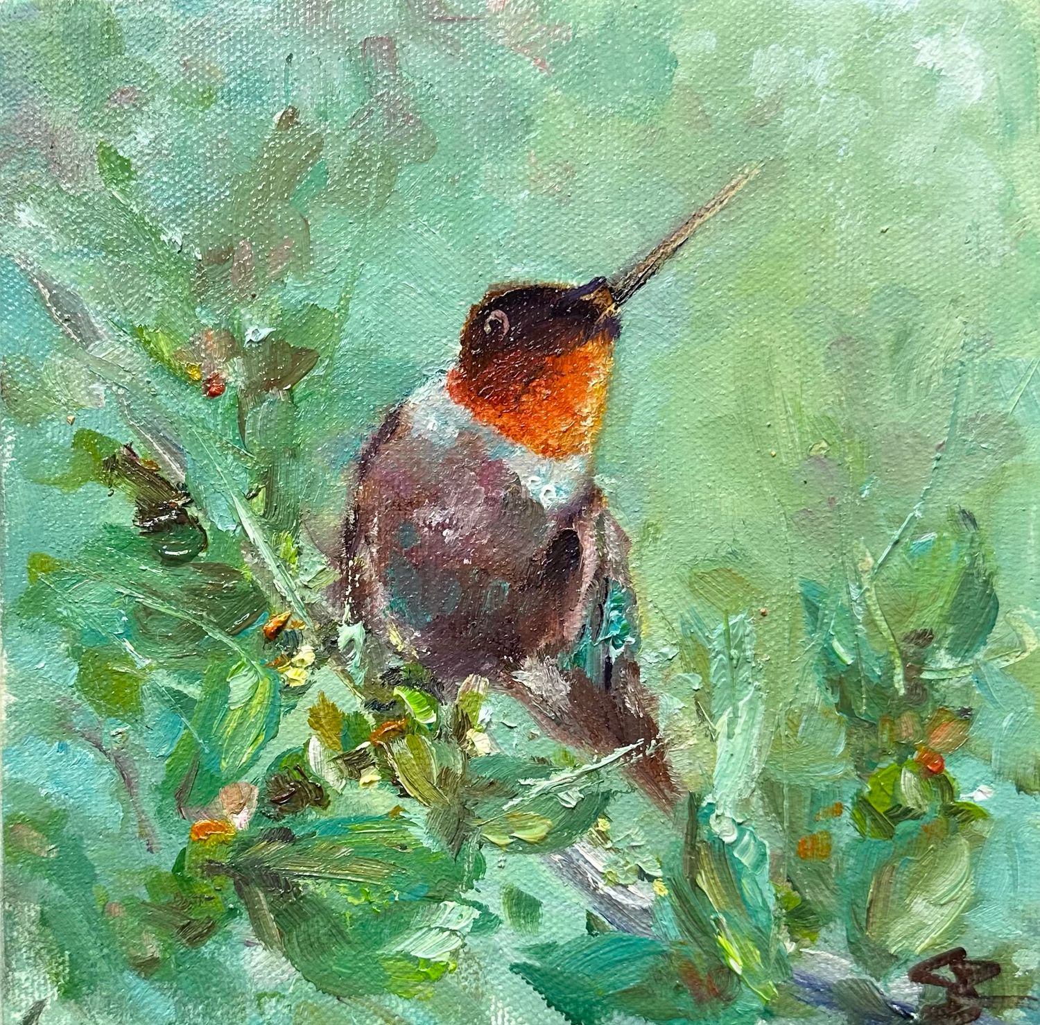 Posing - Hummingbird