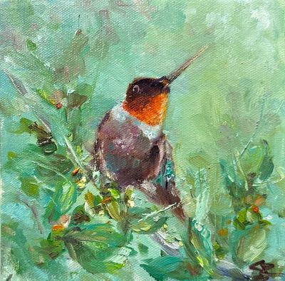 Posing - Hummingbird