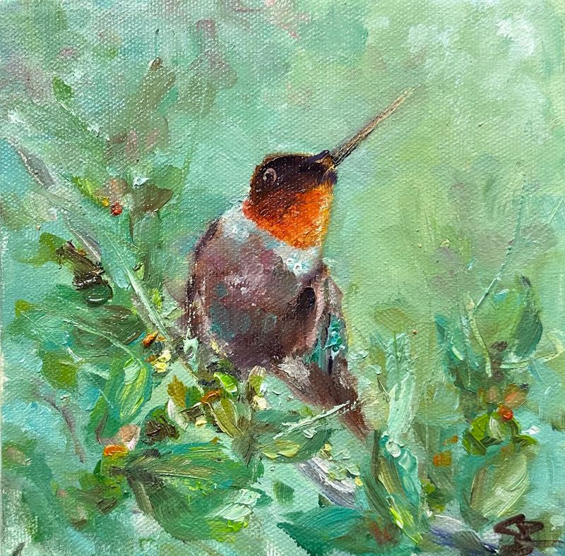 Posing - Hummingbird