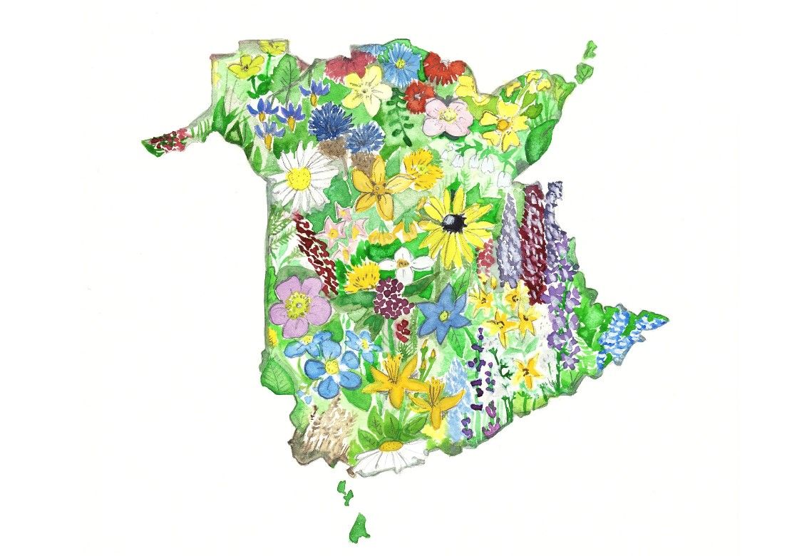 New Brunswick Shoreline with Wildflowers Print- Sarah Duggan
