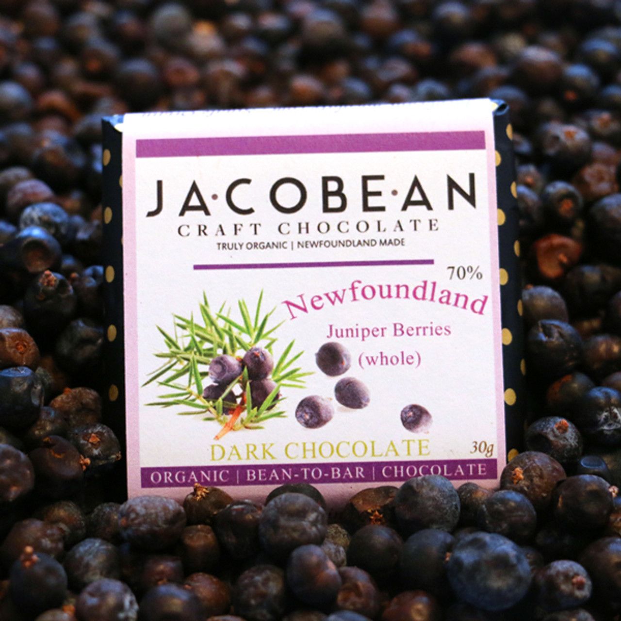 Newfoundland Juniper Berry Chocolate Bar - Jacobean 