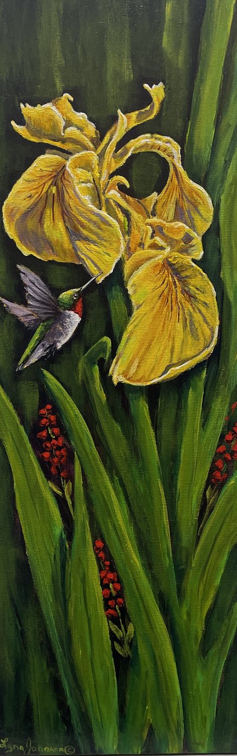 Yellow Iris - Lynn Johnson Yellow Iris - Lynn Johnson