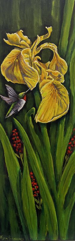 Yellow Iris - Lynn Johnson
