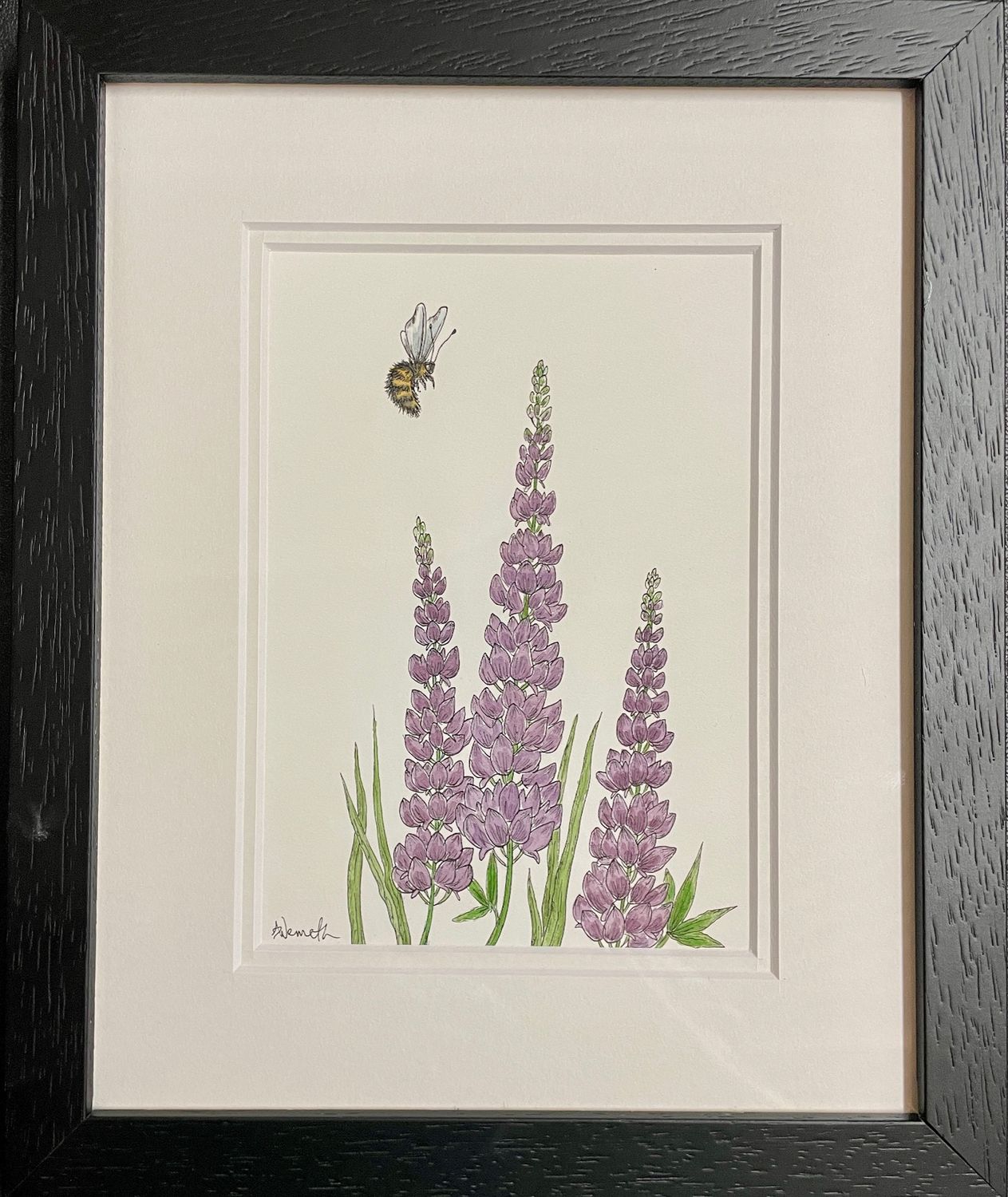Nova Scotia Lupins - Amy Nemeth