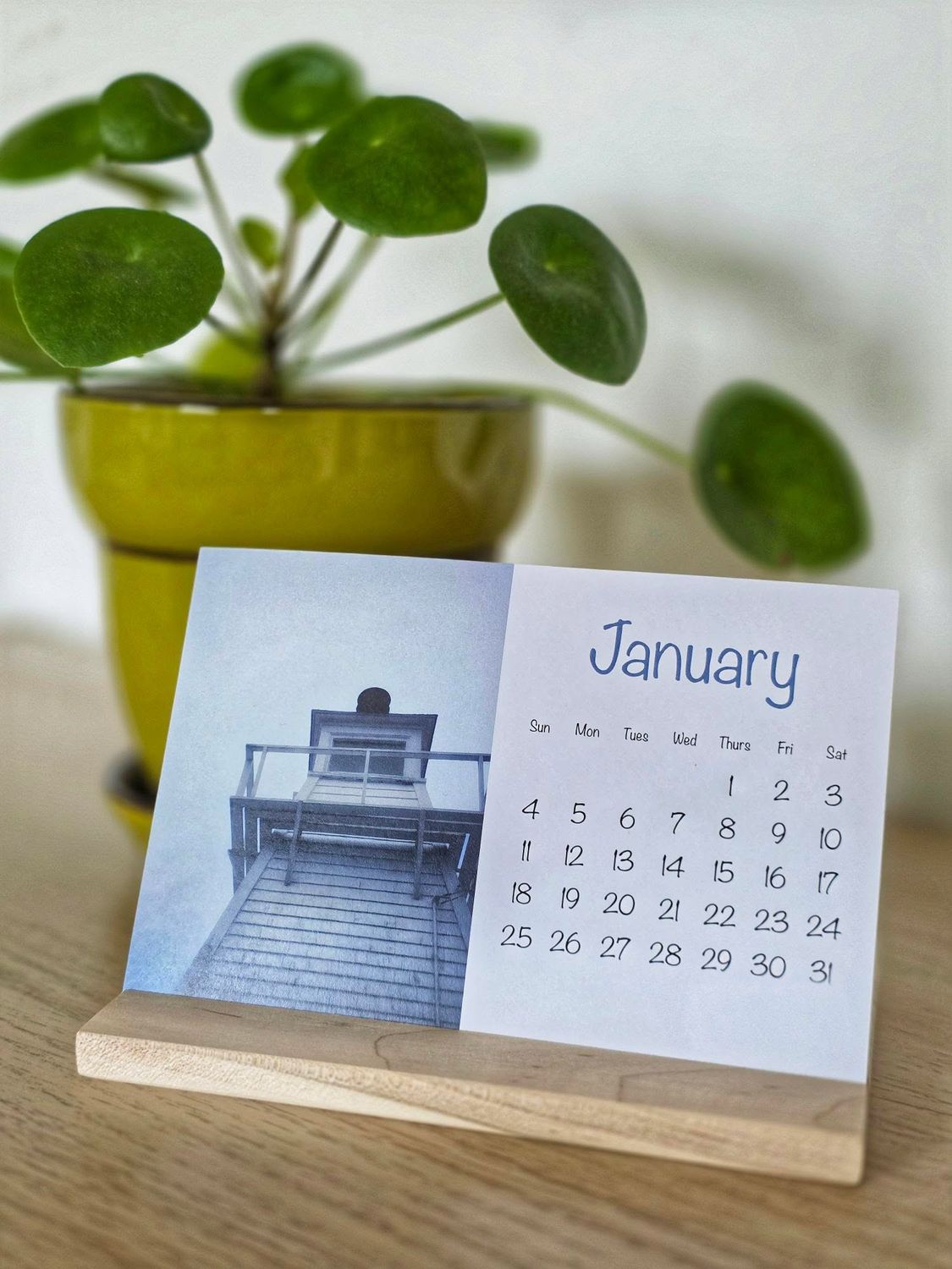 2026 Amanda Cashin Calendar 2026 Amanda Cashin Calendar