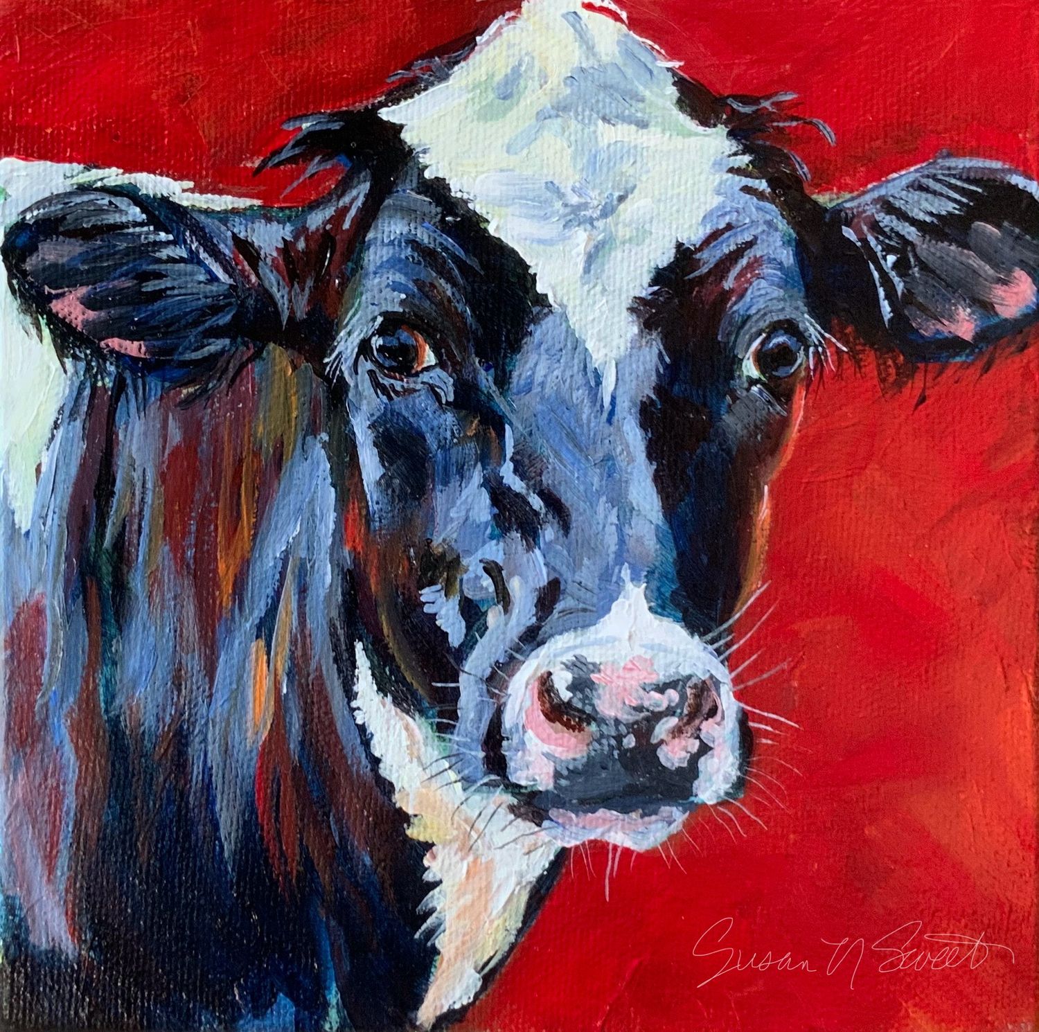 Miss Casey Jean - Susan Sweet