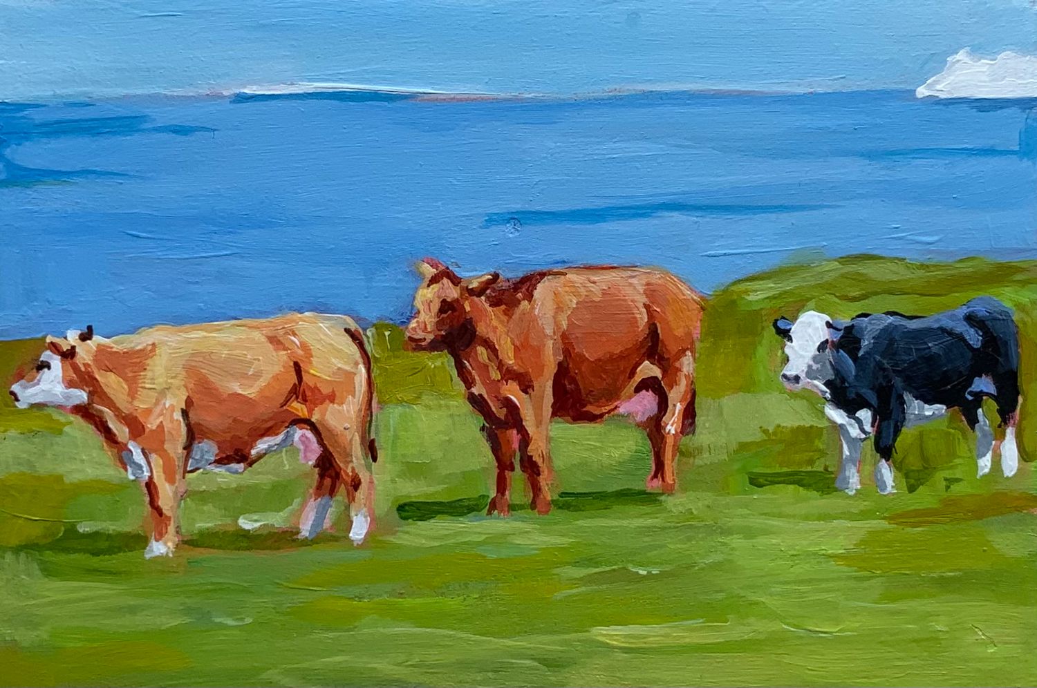 Bonavista Social Club