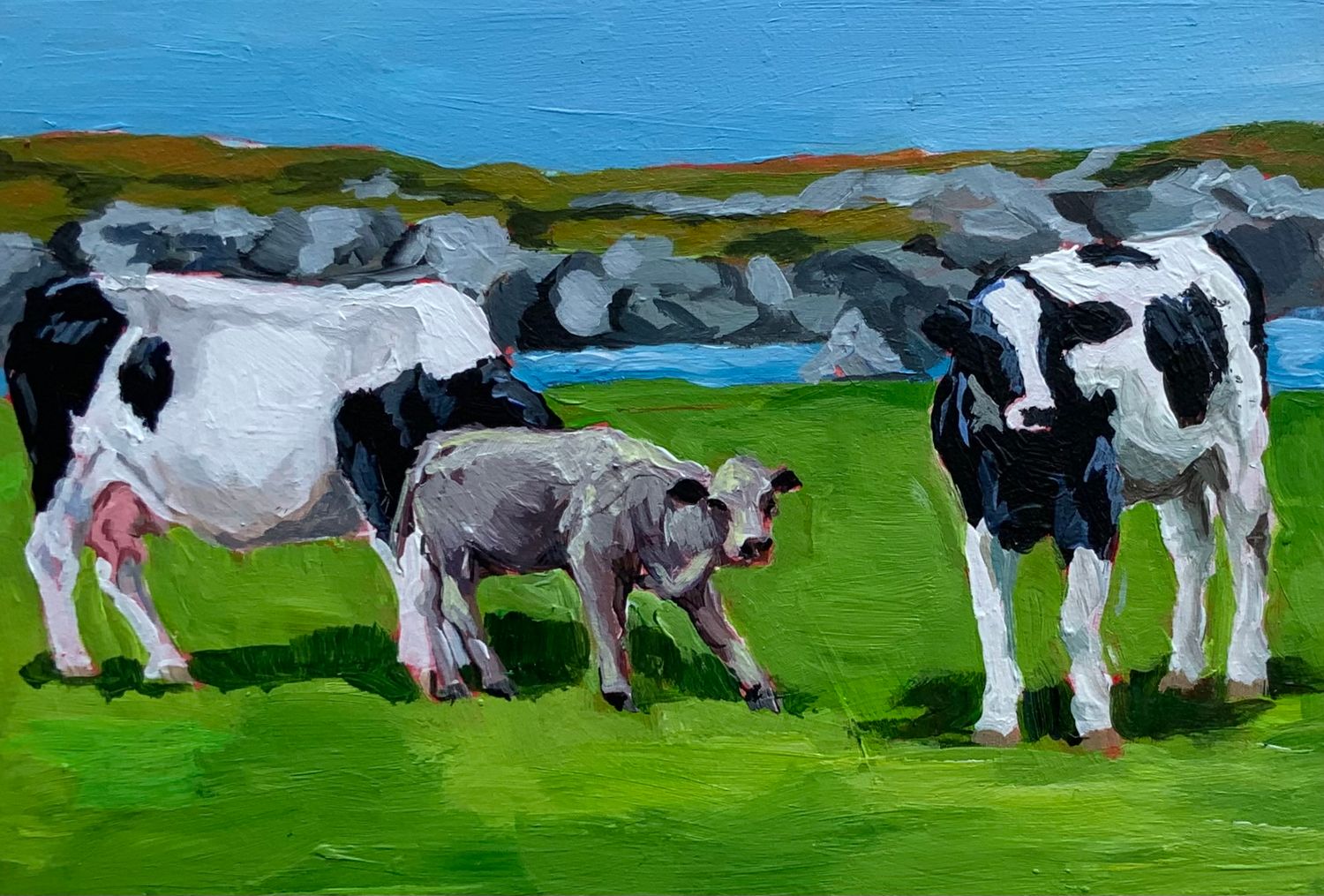 Bonavista Cows - Susan Sweet