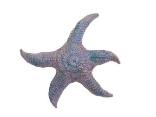 Starfish Purple/Pink/Blue - Mary Jane Lundy