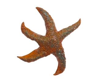 Starfish 8 x 8 Orange w blue spots - Mary Jane Lundy