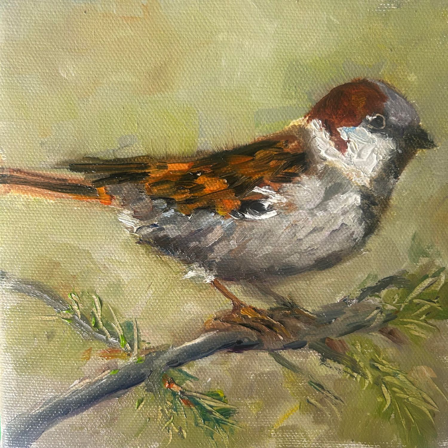 The Watching Sparrow