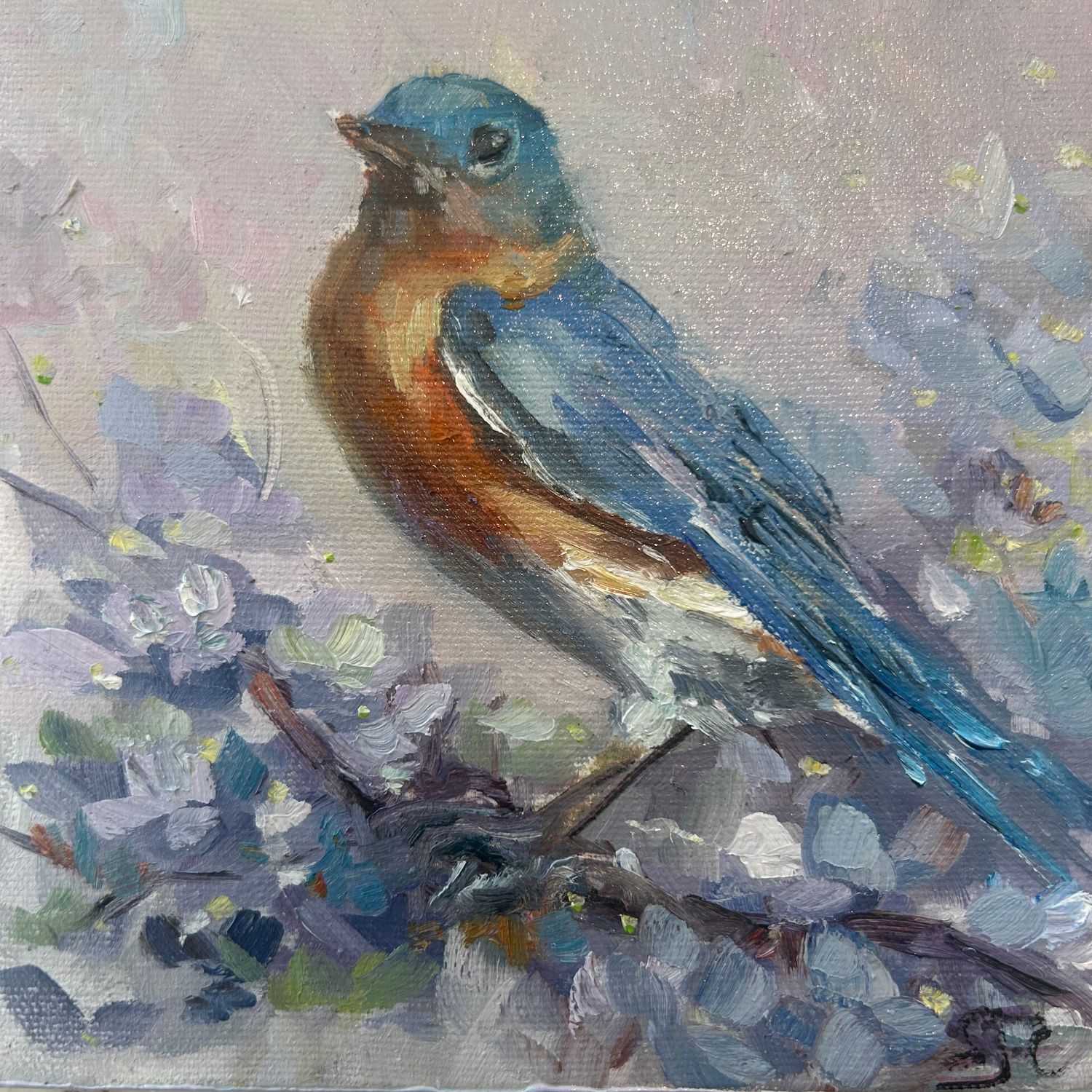 Confident One Confident One