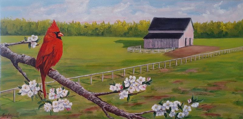 Spring Beauties - Lynn Johnson