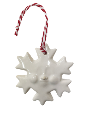 Snowflake with Face Ornament - MITM Snowflake with Face Ornament - MITM
