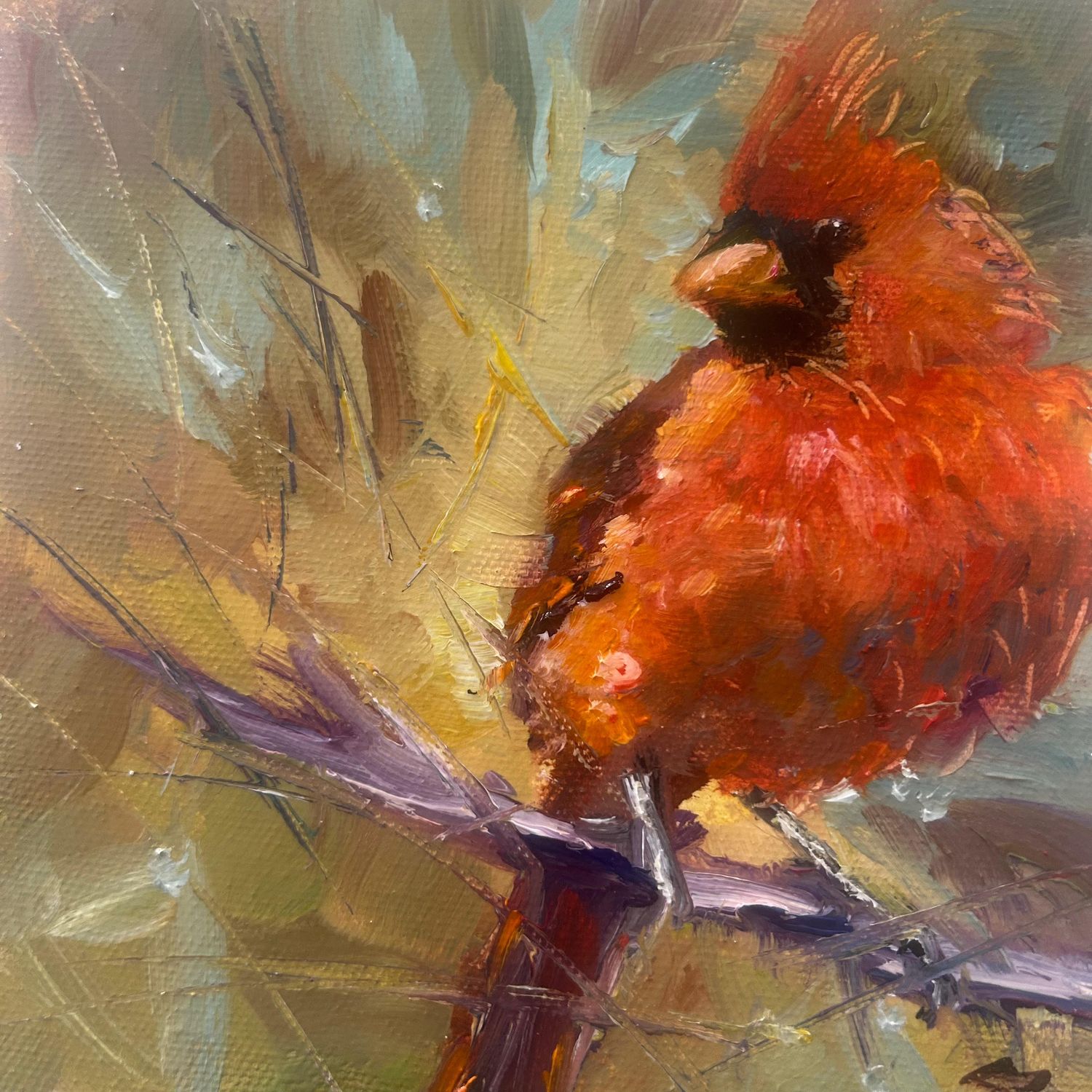 Little Red Show Off - Sarah Jane Conklin