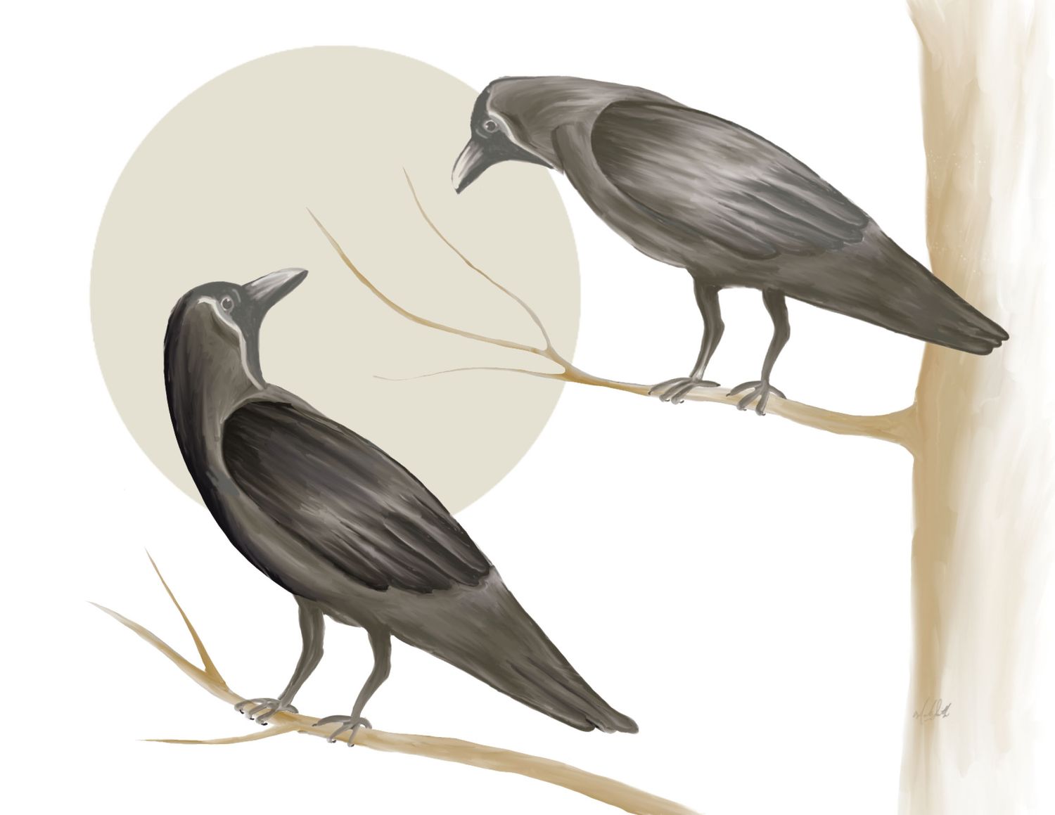 Two Crows Chatting 8x10 - MITM