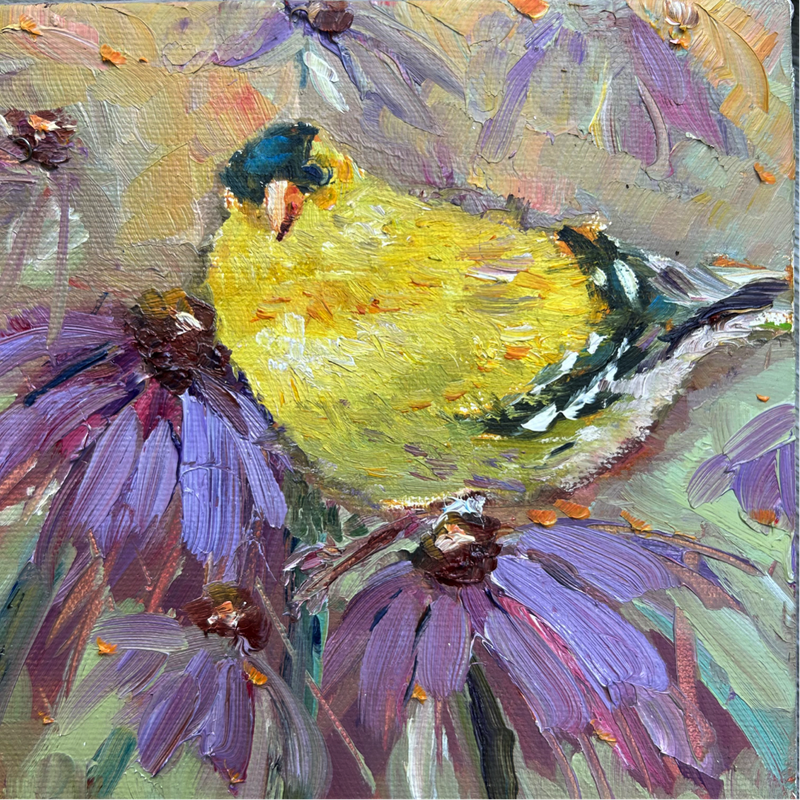 Dream On, Yellow Finch