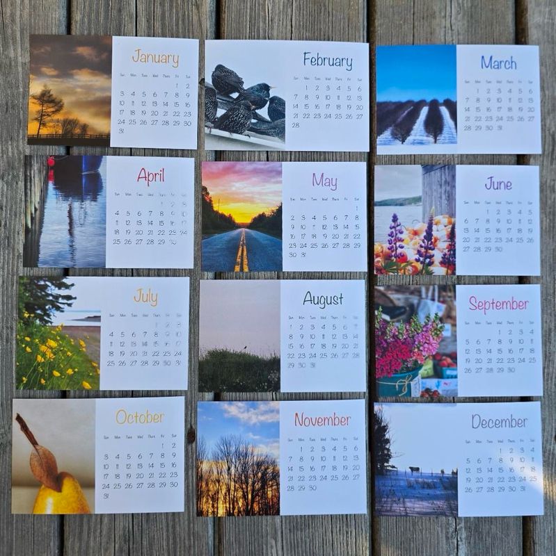 2027 Amanda Cashin Calendar