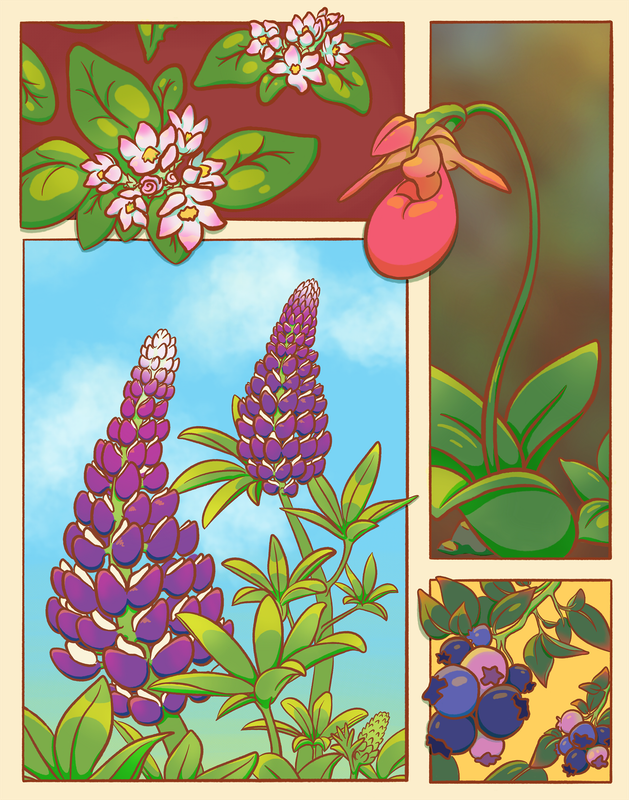 NS Flower Print 8x10 - MITM