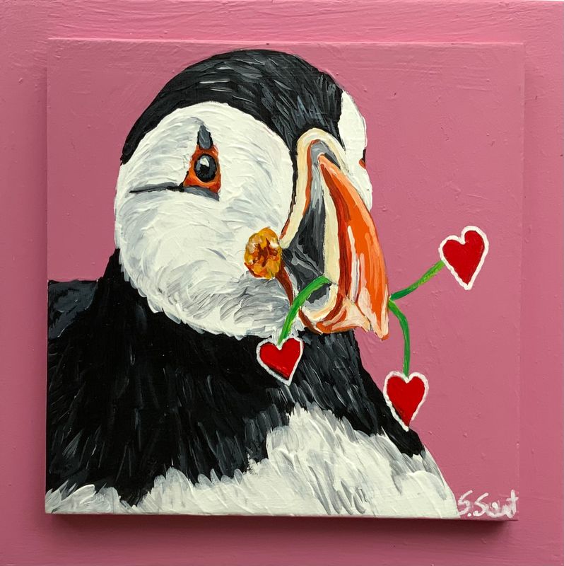 Spencer the Puffin on Pink - Susan Sweet