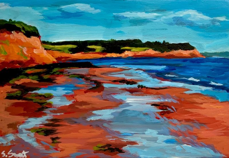 Sally's Beach - Susan Sweet