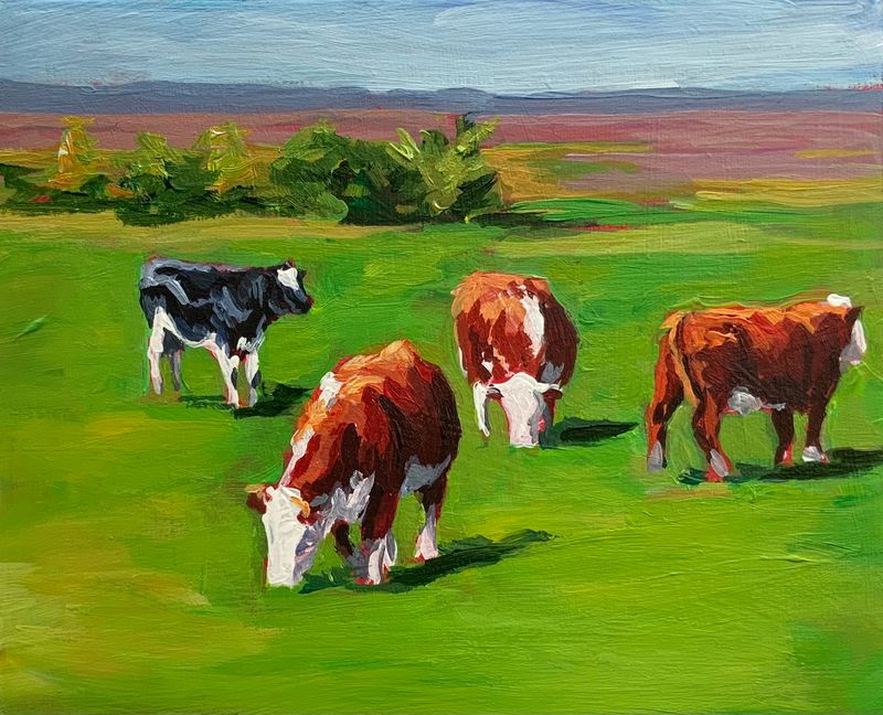 Cows Along the Bay - Susan Sweet