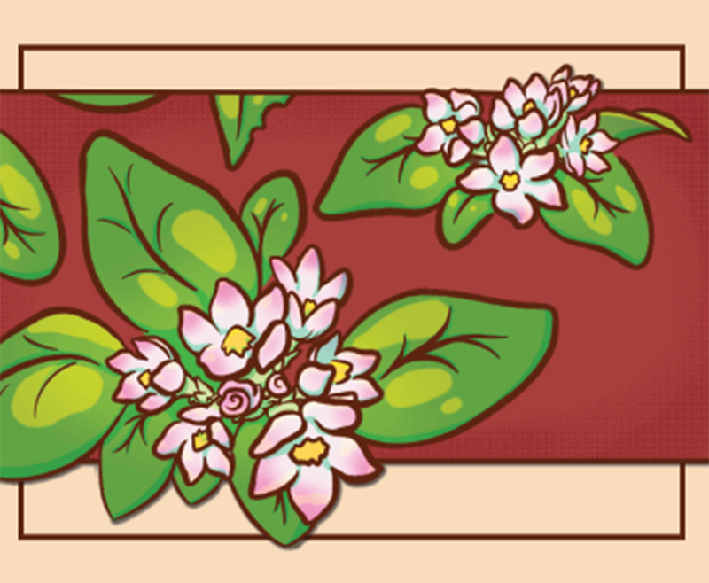 Mayflower Card - MITM