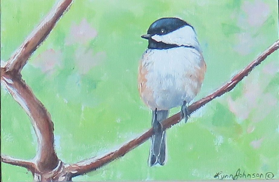 Light as a Feather - Lynn Johnson