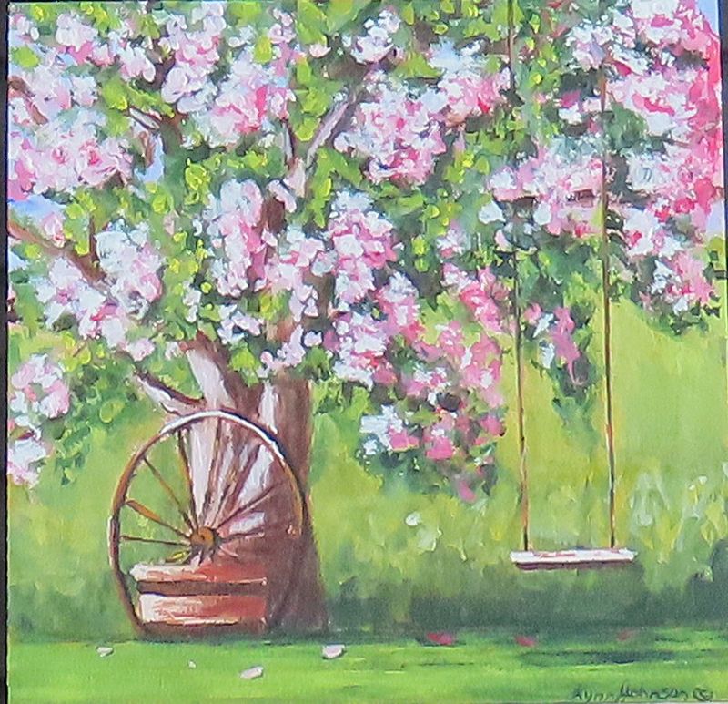 Best Seat in Town - Lynn Johnson