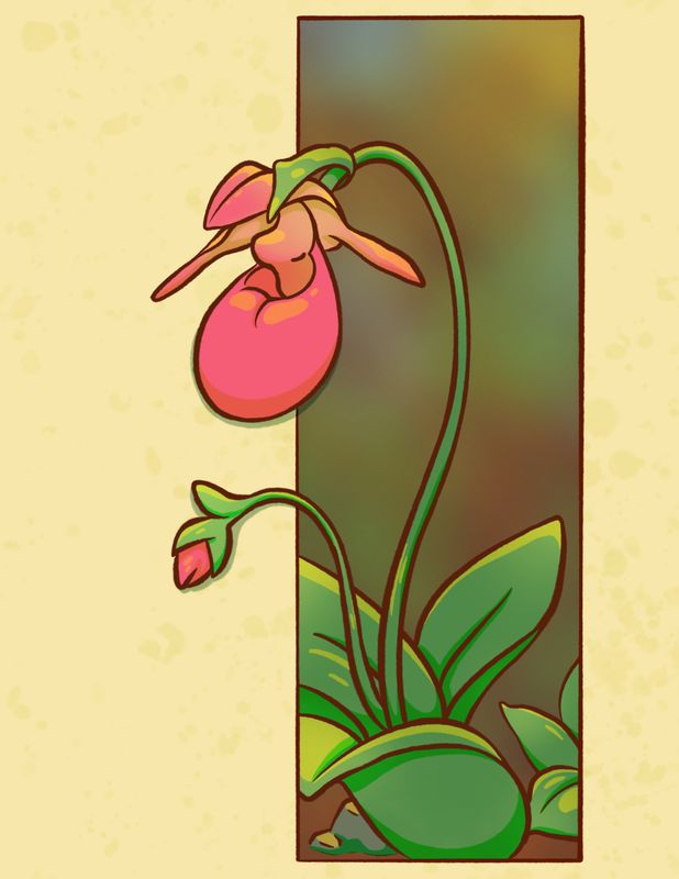 Lady Slipper Card - MITM
