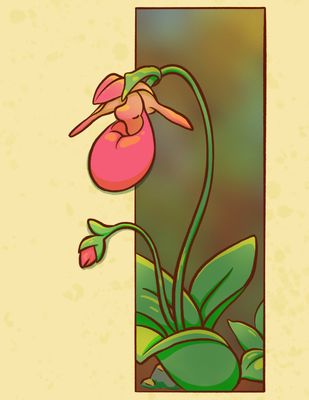 Lady Slipper Card - MITM