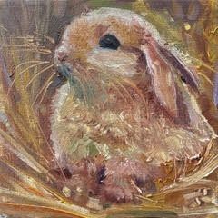 Whiskers and Wishes - Sarah Jane Conklin